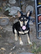 25>���M���ǧ@